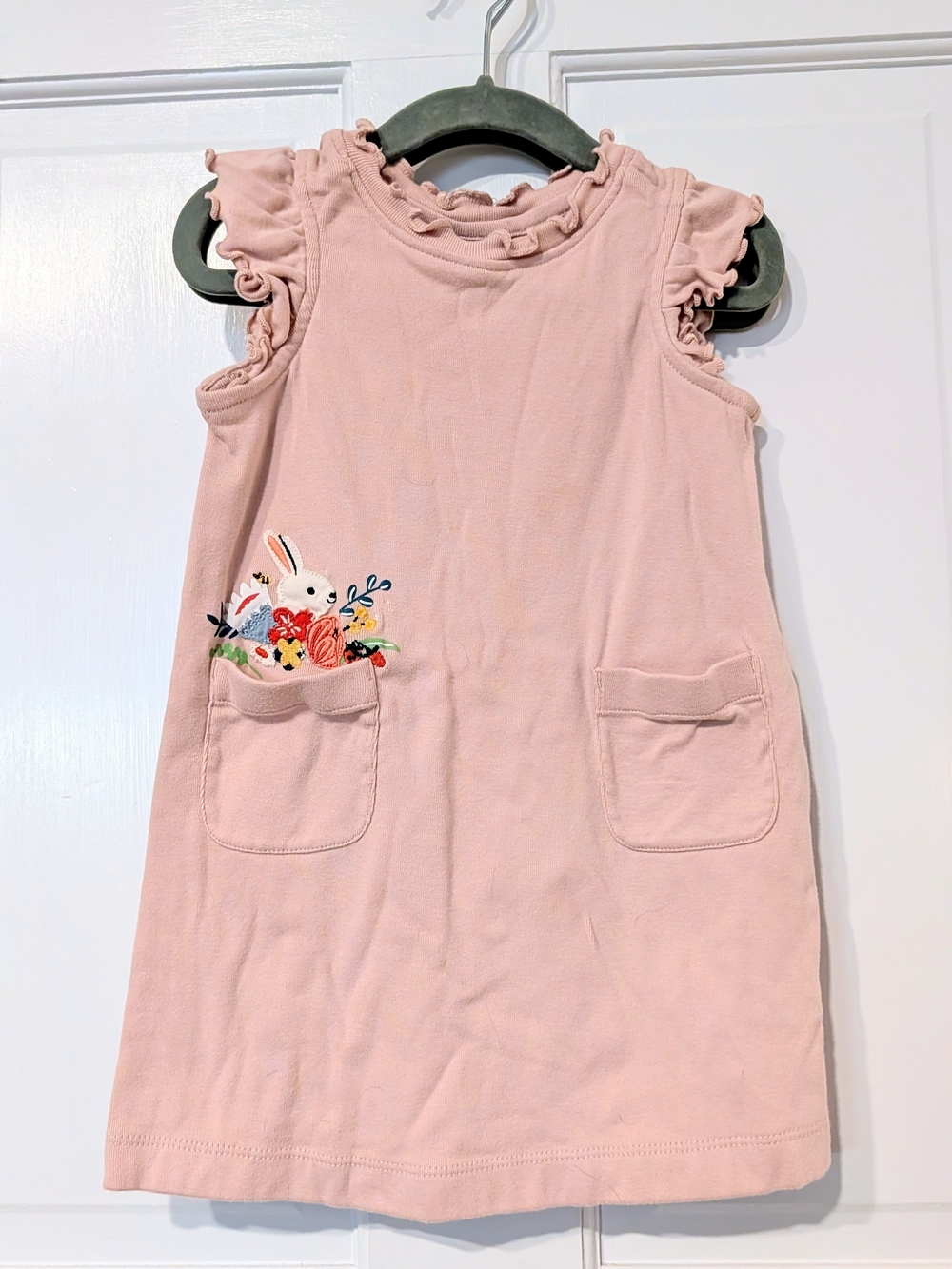 Hanna Andersson Pink Ruffle Sleeve Dress w Bunny Pocket Embroidery & Pink Shorts
